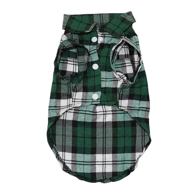 Puppy Summer Outfits