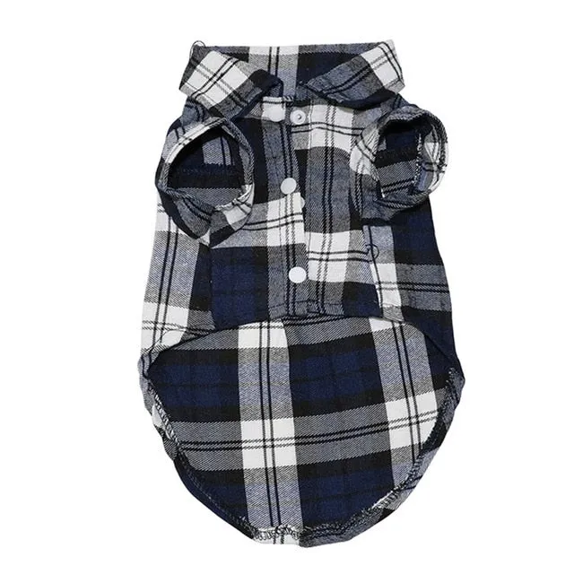 Puppy Summer Outfits