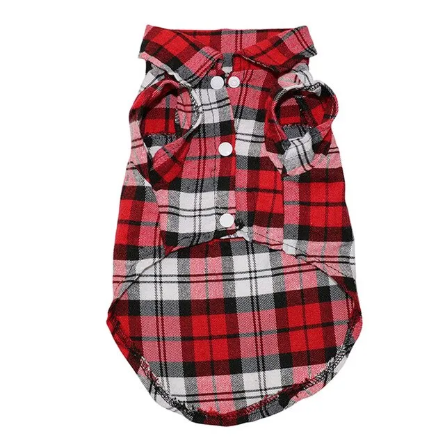 Puppy Summer Outfits